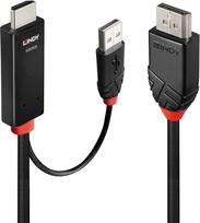 hdmi i displayport adapteris - Lindy HDMI an DisplayPort Adapterkabel 1m - 2 nuotrauka