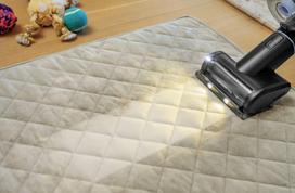 Bissell PowerClean FurFinder Select Cordless