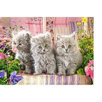 puzzle castorland - Castorland Puzzle Three Grey Kitten 300pcs - 2 nuotrauka