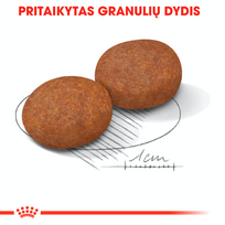 canin royal canin 10 kg - Royal Canin Medium Adult 7+ 15 kg - 4 nuotrauka