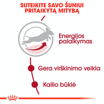 canin royal canin 10 kg - Royal Canin Medium Adult 7+ 15 kg - 5 nuotrauka