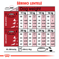 canin royal canin 10 kg - Royal Canin Medium Adult 7+ 15 kg - 6 nuotrauka