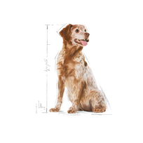 canin royal canin 10 kg - Royal Canin Medium Adult 7+ 15 kg - 7 nuotrauka