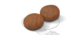 canin royal canin 10 kg - Royal Canin Medium Adult 7+ 15 kg - 8 nuotrauka