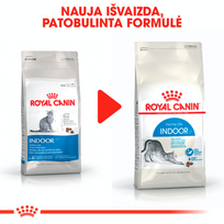 cat - Royal Canin Indoor 27 10 kg - 2 nuotrauka