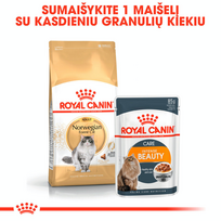 royal canin sausas maistas katems - Royal Canin Norvegien 2 kg - 3 nuotrauka