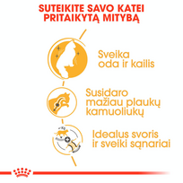 royal canin sausas maistas katems - Royal Canin Norvegien 2 kg - 4 nuotrauka