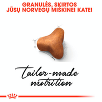 royal canin sausas maistas katems - Royal Canin Norvegien 2 kg - 6 nuotrauka