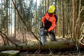 akumuliatorinis pjuklas - Metabo MS 36-18 LTX BL 40 - 8 nuotrauka
