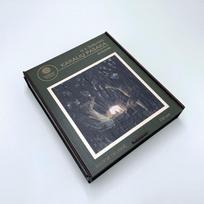 Fantasy Puzzles M.K. Čiurlionis Karalių pasaka, medinė dėlionė XL, 700 det.