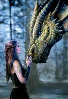 Educa Borras Once Upon a Time Anne Stokes 11ED17099, 68 x 48 cm, 1000 det.