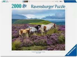 puzzle 2000 - Ravensburger Wild Horses 12001751, 75 x 98 cm, 2000 det. - 1 nuotrauka