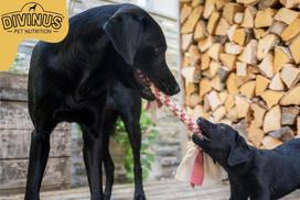 grudai - Sausas šunų maistas Divinus, grūdai/mėsa, 20 kg - 2 nuotrauka