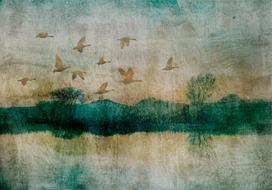 Fototapetas Artgeist Golden Ducks, 105 cm x 147 cm