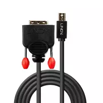 displayport to dvi - Lindy Mini-DisplayPort an DVI-D Kabelis juodas 1m - 2 nuotrauka