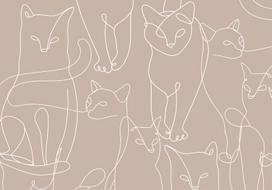 Fototapetas Artgeist Cat Lineart - Minimalist Sketches Of White Cats On Beige Background, 315 cm x 450 cm