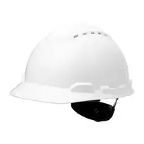 salmai 62 - 3M H700N-VI, Plastic, Baltas, Unisex, 53-62 cm, -30 °C, EN 397 - 4 nuotrauka