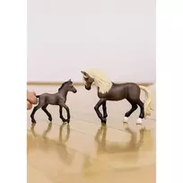 schleich horse.club - SCHLEICH HORSE CLUB Paso Peruano veislės žirgas 13952 - 2 nuotrauka