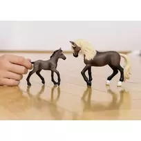 schleich horse.club - SCHLEICH HORSE CLUB Paso Peruano veislės žirgas 13952 - 5 nuotrauka