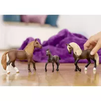 schleich horse.club - SCHLEICH HORSE CLUB Paso Peruano veislės žirgas 13952 - 6 nuotrauka