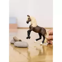 schleich horse.club - SCHLEICH HORSE CLUB Paso Peruano veislės žirgas 13952 - 7 nuotrauka