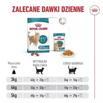 cat - Royal Canin Ageing 11+ sausas maistas katėms, 4 kg - 3 nuotrauka