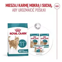 cat - Royal Canin Ageing 11+ sausas maistas katėms, 4 kg - 4 nuotrauka