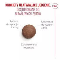 cat - Royal Canin Ageing 11+ sausas maistas katėms, 4 kg - 6 nuotrauka