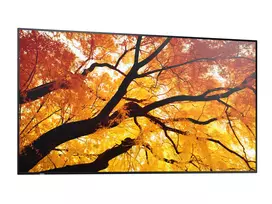 nec monitor - Sharp MultiSync M322 32" 24/7 - 3 nuotrauka
