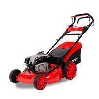 briggs stratton variklis - Benzininė vejapjovė R51-B - 6 nuotrauka