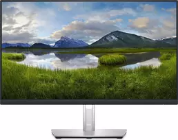 Dell P2423D 23.8", QHD, juodas (black)