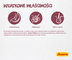 kaciu josera 10kg - Josera Kitten sausas maistas kačiukams, 10 kg + 1 kg - 5 nuotrauka