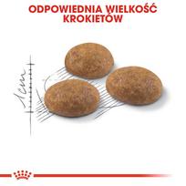 royal canin sausas maistas katems - Royal Canin Outdoor 30 2 kg - 5 nuotrauka