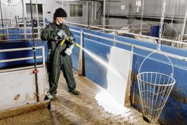 putos plovimo - Putų purkštuvas Karcher Avanced 1; 1 l - 3 nuotrauka