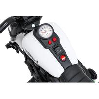 motociklo variklis - Elektrinis motociklas Motor STAR, White - 7 nuotrauka