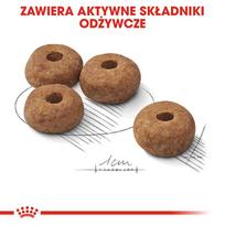 royal canin sterilised - Royal Canin Medium Sterilised 3 kg - 3 nuotrauka