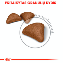 royal canin sausas maistas katems - Royal Canin Hairball Care 10 kg - 3 nuotrauka