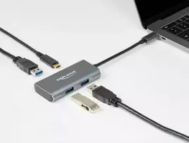 adapteriai type c - Delock Externer USB 3.2 Gen 2 USB Type-C Hub (grau, USB-C) - 2 nuotrauka