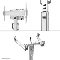 wheel stand - NEOMOUNTS BY NEWSTAR SELECT MOBILE DISPLAY FLOOR STAND (32-75") 10 CM. WHEELS WHITE - 3 nuotrauka