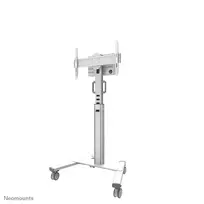 wheel stand - NEOMOUNTS BY NEWSTAR SELECT MOBILE DISPLAY FLOOR STAND (32-75") 10 CM. WHEELS WHITE - 8 nuotrauka