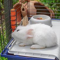 triusiu narvai -  Ferplast Rabbit 120, 1180 mm x 585 mm x 495 mm - 10 nuotrauka