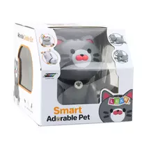 silca vaskas - Lean Toys Interaktyvus robotas kačiukas su nuotolinio valdymo pultu, Pilkas (Gray) - 2 nuotrauka