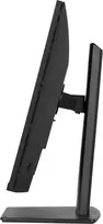 iiyama prolite - iiyama ProLite XB3294UHSCP-B1 31.5", 4K Ultra HD, VA, USB-C, KVM - 4 nuotrauka