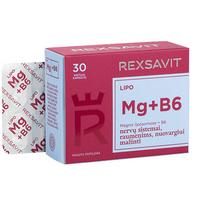geri - REXSAVIT LIPO Magnis + B6, 30 kapsulių - 2 nuotrauka