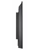 cctv - AG Neovo SMQ-4301 43", 3840 x 2160, juodas - 6 nuotrauka