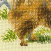 pomeranijos spicas - RIOLIS – Create It Yourself – Siuvinėjimo rinkinys „Špicas“ 1585 (30x40 cm) - 2 nuotrauka