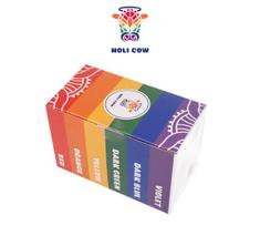 piesimo rinkinys - Holi Cow spalvoti milteliai - rinkinys 10x100g - 2 nuotrauka