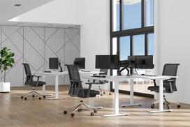 2 monitoriu laikiklis - MONITOR ACC DESK MOUNT 17-35"/DS70S-950BL2 NEOMOUNTS - 18 nuotrauka