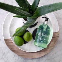antibakterinis muilas - Baylis & Harding Aloe, Tea Tree & Lime Anti-Bacterial 500ml Moterims Skysti muilai - 2 nuotrauka