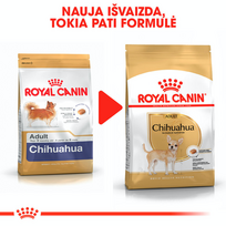 royal canin chihuahua adult - Royal Canin Chihuahua Adult 0,5 kg - 2 nuotrauka